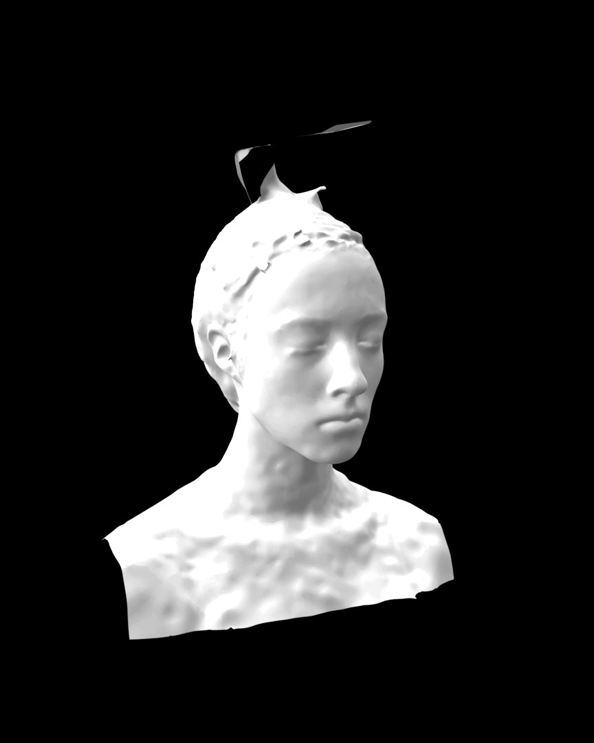 Scan 3D masque